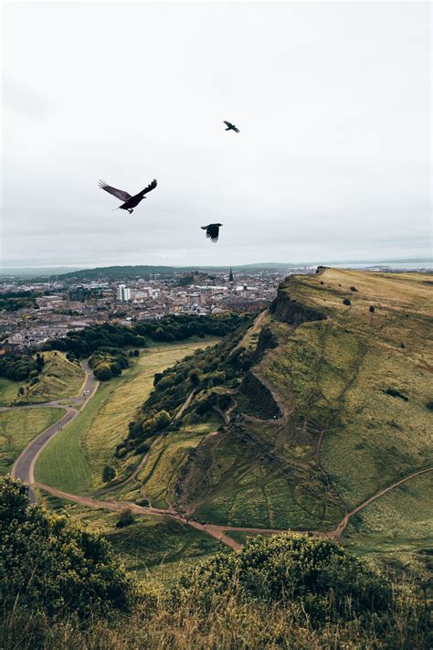 Birds Flying Mountains Royalty Free Stock Photo