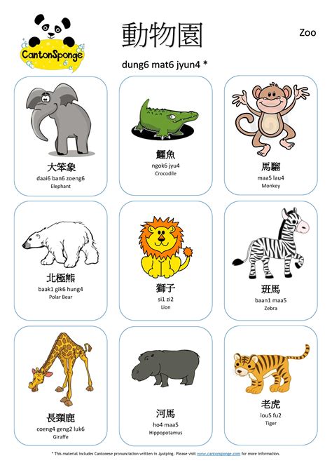 Bilingual English Chinese Zoo Animals Poster With Clear Chinese