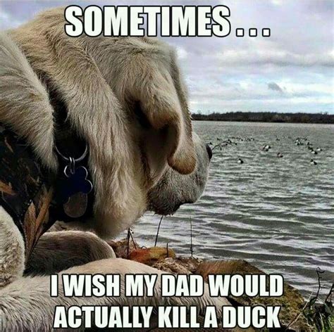 Duck Hunting Humor Hunting Humor Hunting Jokes