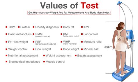 Best And Accurate Body Composition Analysis For Gym