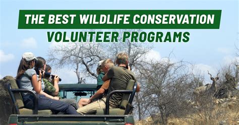 Wildlife Volunteering Abroad Best Wildlife Conservation Programs