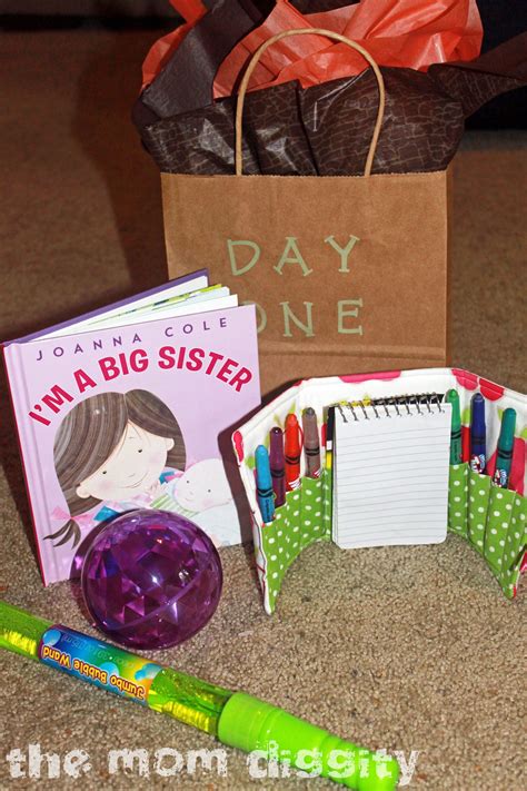 Your kid sister probably isn't going to like the same thing as your sister with a newborn or your sister who's a cat lady. dayone | Big sister gifts, New baby products, Big sister