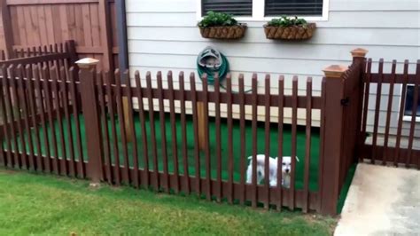 E&k mesh safety pool fence for inground pools removable outdoor safety fence security fencing for backyard garden deck porch chicken dogs fence 6' feet high mesh netting fence. BACKYARD DOG KENNEL IDEA!!!! EASY DIY - YouTube