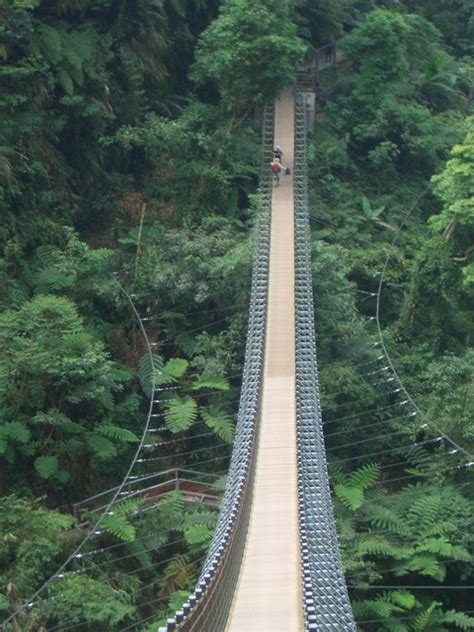 來自： 來自 台北 新竹 台中 高雄 基隆 宜蘭 高雄 桃園 苗栗 南投 彰化 雲林 嘉義 台南 屏東 花蓮 台東 宜蘭 日本 美國 香港 中國 美國 外星 其他. 【南投】征服「天梯」的代價＠恰咪【閒遊閒語】｜PChome 個人新聞台
