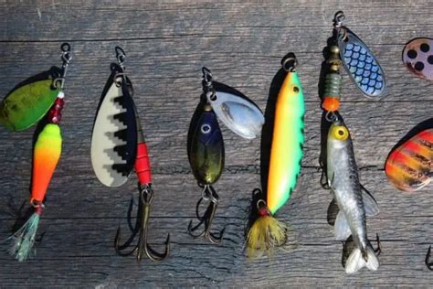 Best Catfish Baits For Ponds Made Easy Fishing Papa