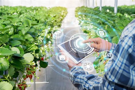 Iot Applications In Agriculture To Increase Profitability