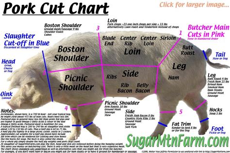 There are five sections of. Know your pork cuts | Tummy Journey
