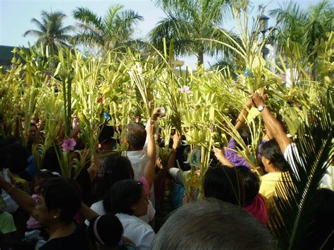 Dimanche des rameaux entre acclamation et condamnation dernière entrée de jésus à jérusalem : Homélie pour le Dimanche des Rameaux Année C : « Hosanna ...