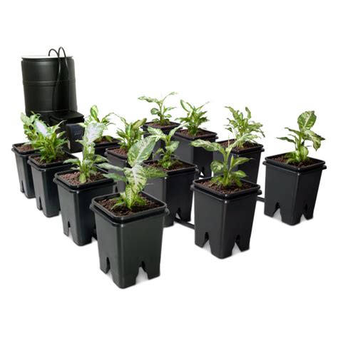 G2g Ebb And Flow Bucket Systems Good 2 Grow