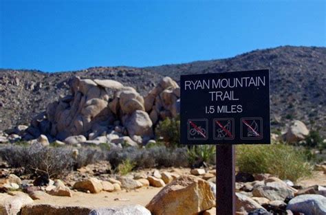 The Ryan Mountain Hike In Joshua Tree National Park