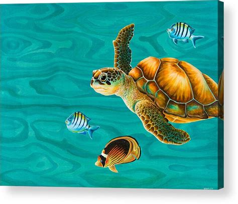 Sea Turtle Acrylic Beach Art Acrylic Art And Collectibles
