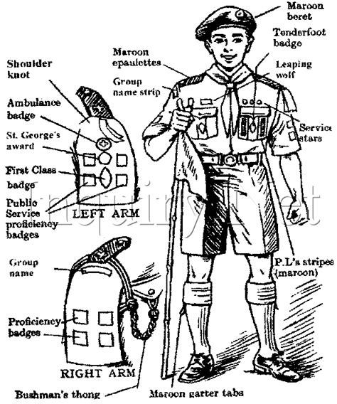 A boy scout shirt and merit badge sash should be sufficient. Total Scout Notes: PRAVESH TO RAJYAPURASKAR | Scout badges ...