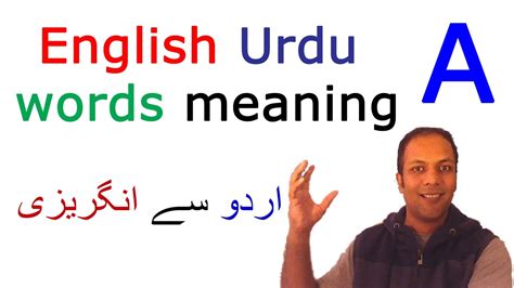 Vis′ionist, a visionary person, one who believes in visions.—adj. English Urdu dictionary translation vocabulary words with ...