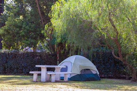 Z Gdd Camping Parque Plaza Montero Las Flores Turismo