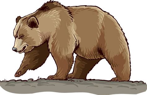 Grizzly Bear Standing Clipart