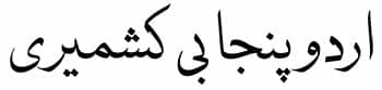 @zeni241 thanks for you suggestion. Urdu Fonts: South Asian Language and Resource Center