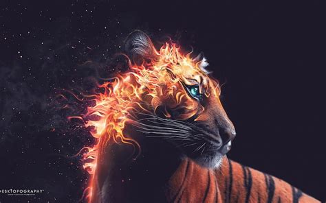 Fantasy Tiger Fire Fantasy Orange Black Tiger Blue Eyes Animal
