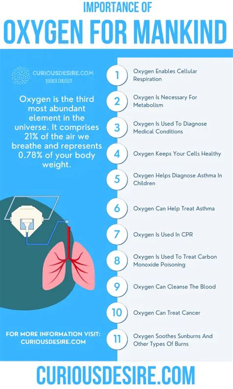 Reasons Why Oxygen Is Important Curious Desire
