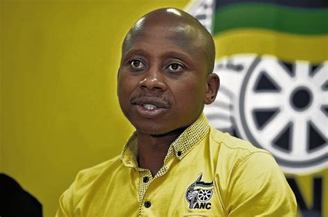 Andile lungisa loses high court appeal. ANC's Andile Lungisa to spend two years in jail for assault