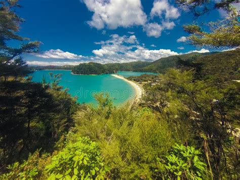 Acqua Su Una Spiaggia In Nuova Zelanda Immagine Stock Immagine Di