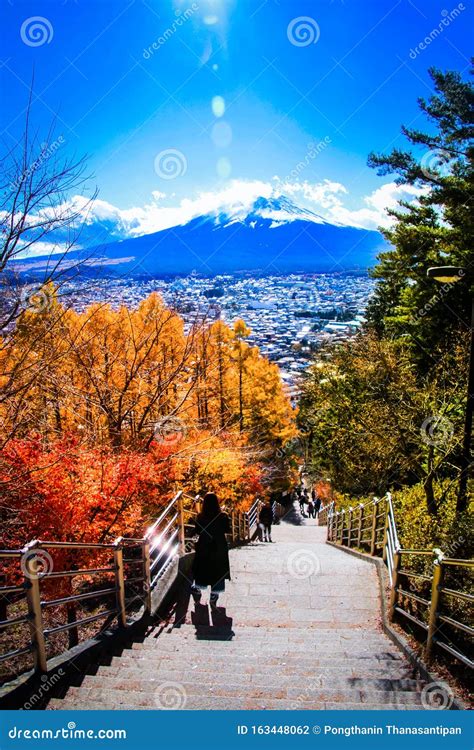 Autumn Leaves Of Mount Fuji Yamanashi Prefecture In Japan Stock Photo