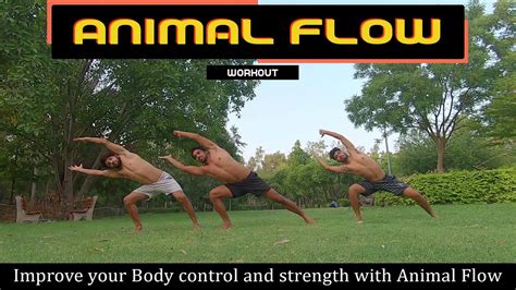 Animal Flow Workout Improve Your Body Control And Strength With