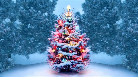 Christmas Tree With Snow And Lights Decoration Hd Christmas Tree