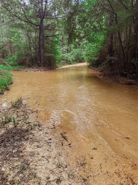 Pearl River Run, Mississippi : Off-Road Trail Map & Photos | onX Offroad