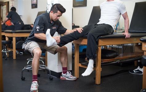 Online Degrees In Exercise And Sports Science