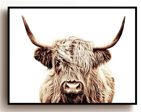 Highland Cow Print Buffalo Print Bull Print Cow Canvas | Etsy in 2020 | Highland cow print, Cow 