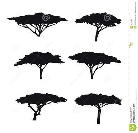 Six Trees Acacia Silhouettes African Tree African Art Projects Tree