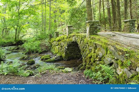 Moss Covered Antique Stone Bridge Dichtbij De Kleine Rivier Het Grote