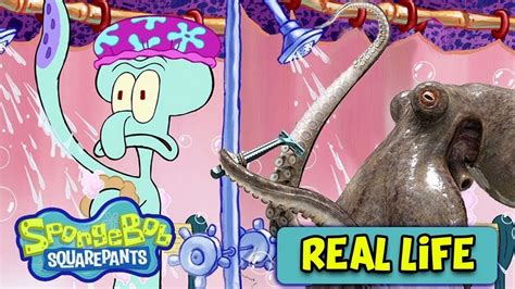 10 spongebob squarepants characters in real life spongebob squarepants is an animated tv