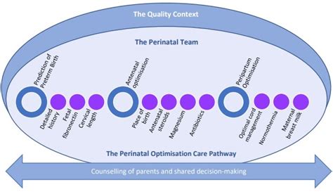 Perinatal Optimisation Pathway British Association Of Perinatal Medicine