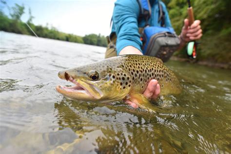 The 5 Best Vermont Rivers For Fly Fishing
