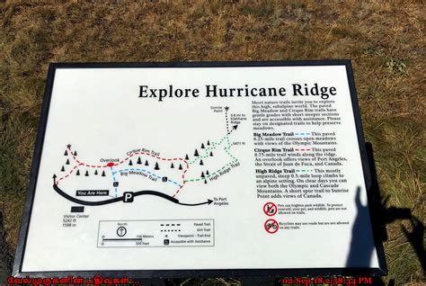 Hiking Trails At Hurricane Ridge Exploring My Life