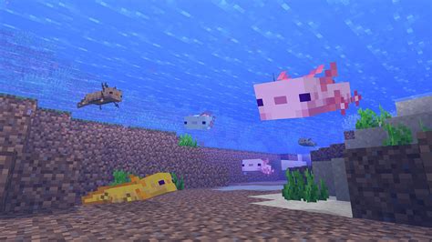 How To Find Tame And Breed Minecraft Axolotls Gamesradar