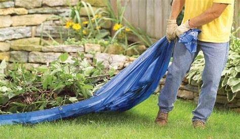 25 genius gardening hacks you ll be glad you know page 18 12 facts of just about everything