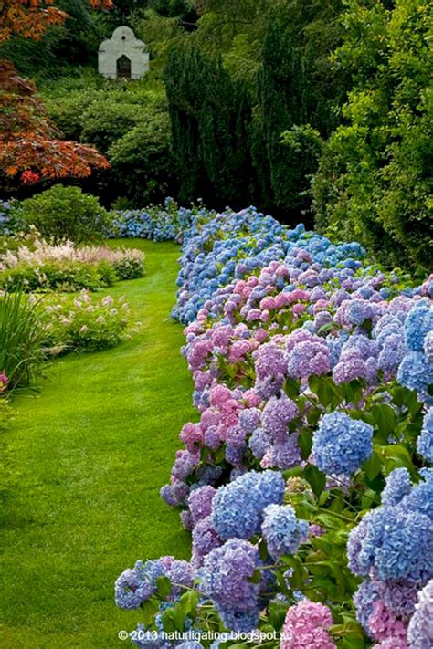 Many people just assume in order to have a decent garden you need to have the outdoor space for it. Best Secret Gardens Ideas 32 (Best Secret Gardens Ideas 32 ...