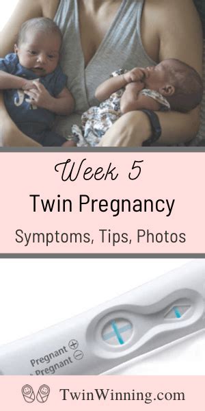 Twin Pregnancy Week 5 What To Expect Twin Winning