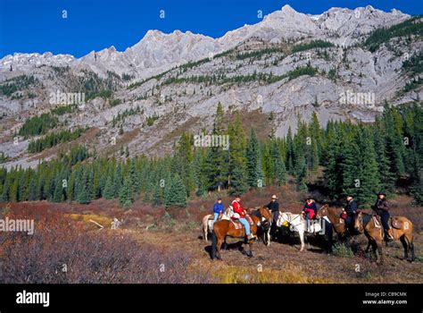 Horseback Riders On A Vacation Trip Pause During Their Trail Ride In