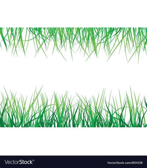 Green Grass Royalty Free Vector Image Vectorstock
