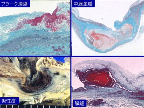 宅男腐女的爱好导航。 地址发布页： lanse.icu 最新地址： ldh. ページ 37 - 東京逓信病院