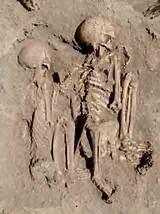 Earliest Human Fossils