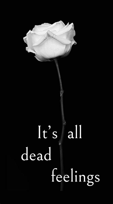 All Dead Feelings Black Creative Depth Feels Flower Rose Sad