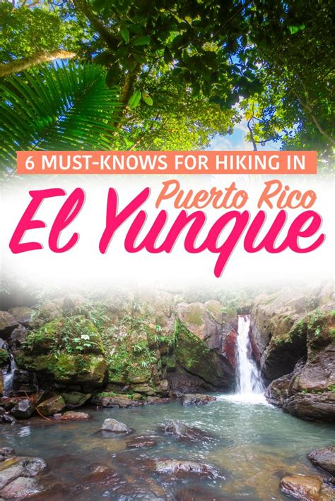 Everything You Need To Know Before Hiking In El Yunque Rainforest In
