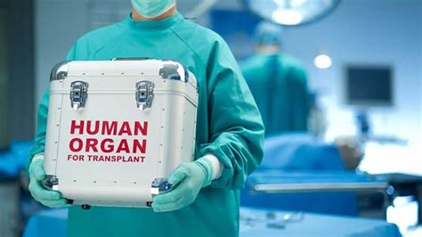 Organ Transplantation How Much Does It Cost And Where Can You Go For A