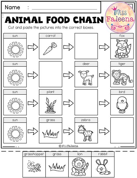 Food Chain Food Web Worksheet