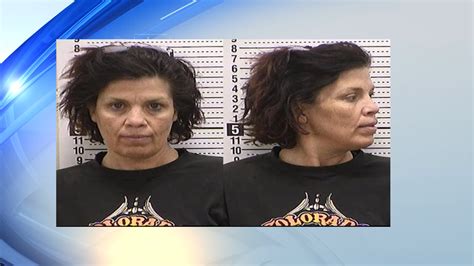 Carpio Woman Charged In Fraud Investigation Bismarck Daily