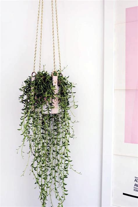 Check out these amazing ideas to you should consider buying some hanging plants for your home. 40 So Perfect Wall Hanging Plant Decor Ideas